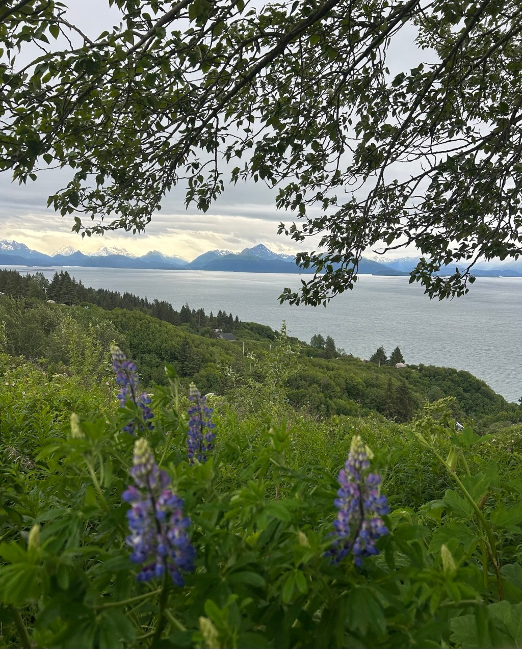 Alaska